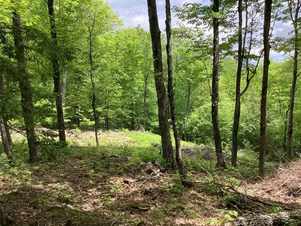 Campton, NH 03223,Lot 1 Pegwood RD