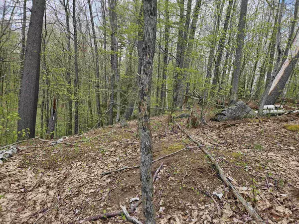 Haverhill, NH 03765,Lot 123 Paulsen CIR