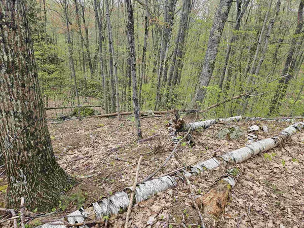 Haverhill, NH 03765,Lot 123 Paulsen CIR