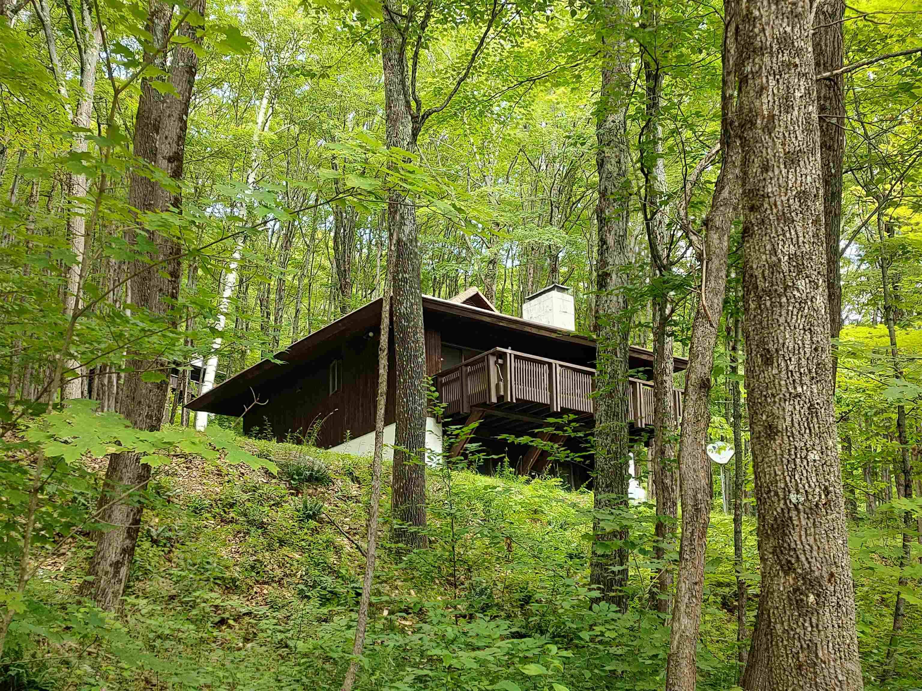 219 Sparrow Hawk RD, Rochester, VT 05767