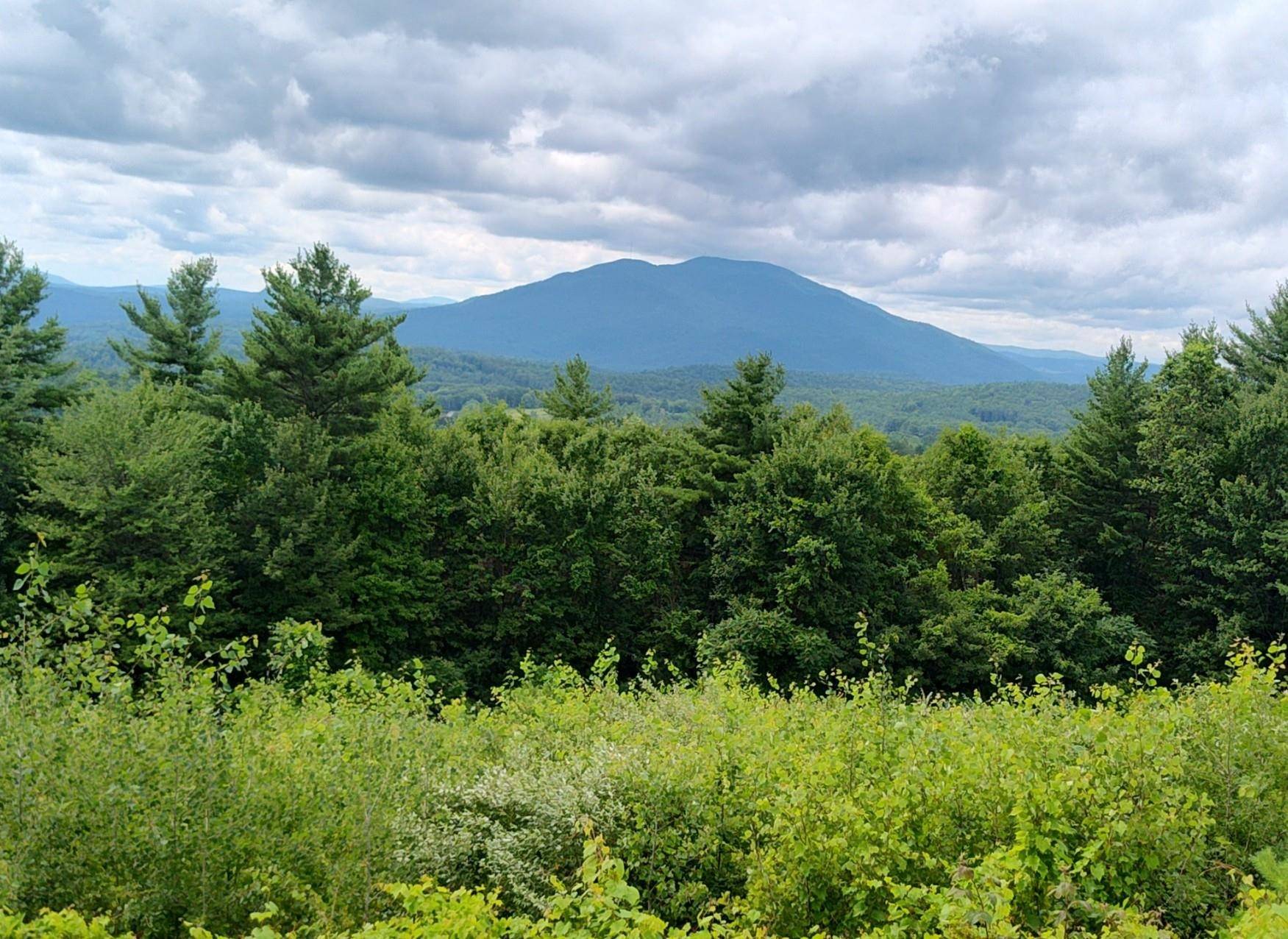 0 Cat Hole RD, Claremont, NH 03743