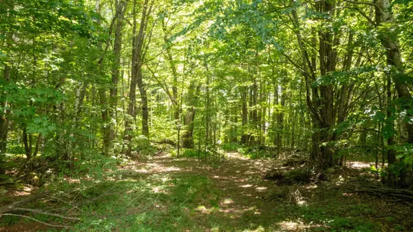 Dorset, VT 05253,0 Havoc Hill RD