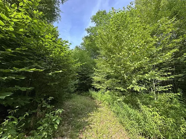 Chester, VT 05143,00 VT Route 103 N