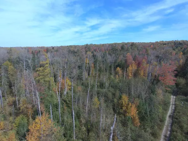Lunenburg, VT 05906,0 Thomas West RD