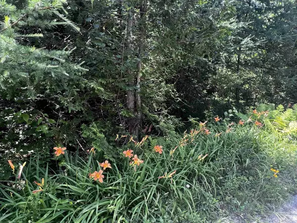 Burke, VT 05871,714 Carter RD