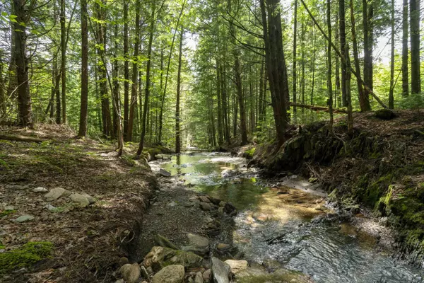 Duxbury, VT 05660,TBD Wilder RD #2