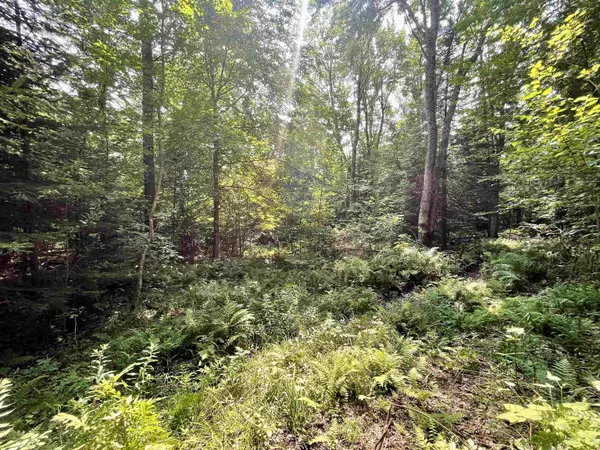 Westmore, VT 05822,00 Peene Hill RD