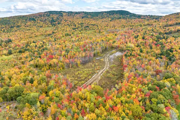 Gilford, NH 03249,11 Fieldstone WAY