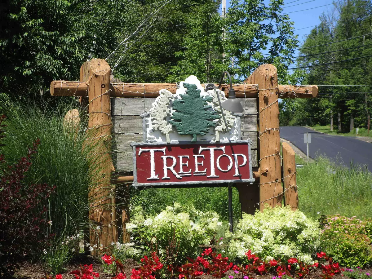 Stratton, VT 05155,16 c Winterberry Heights CT