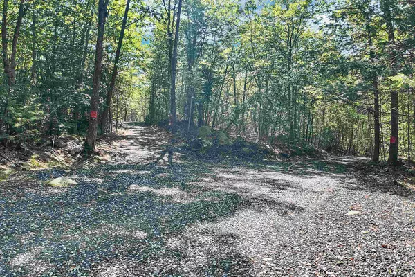 Alton, NH 03809,Lot 92 Bear Pond RD