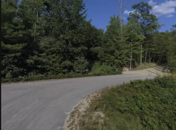 Moultonborough, NH 03254,000 Lady Slipper LN