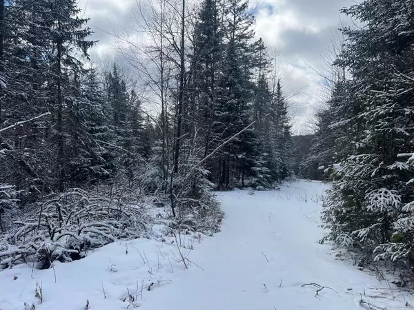 Newark, VT 05871,00 Center Pond RD