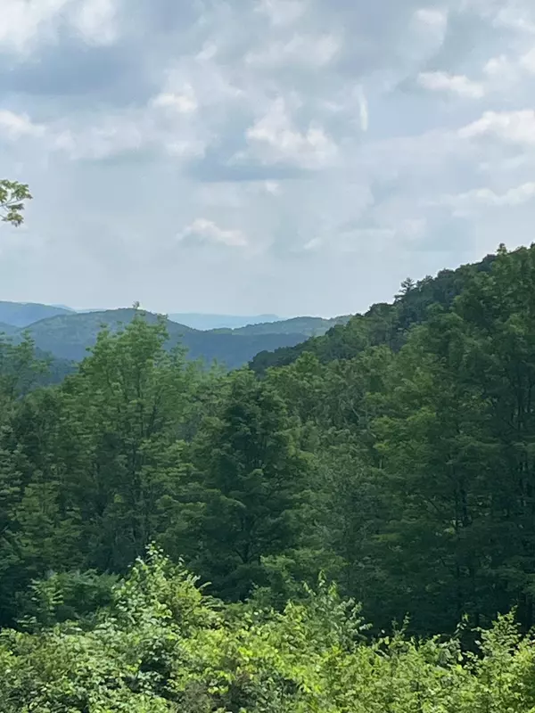 Poultney, VT 05764,0 Finel Hollow RD