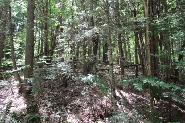 Haverhill, NH 03785,00 Hanover DR