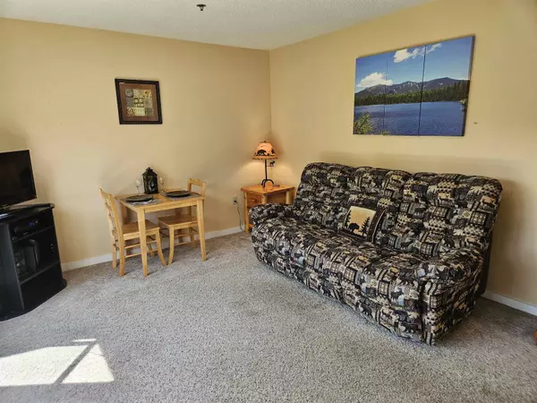Lincoln, NH 03251,36 Lodge RD #L202