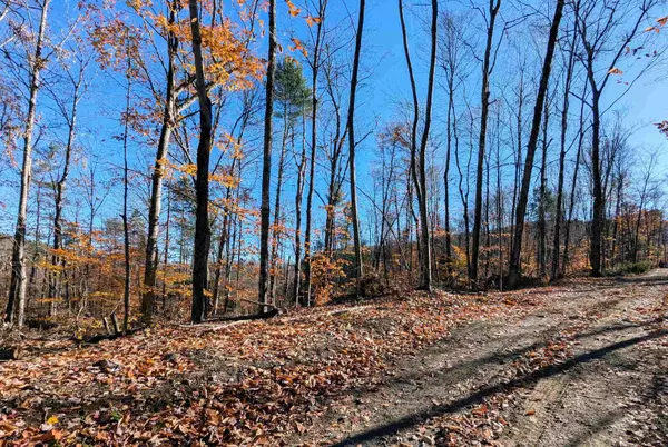 0 Dover RD, Newfane, VT 05351