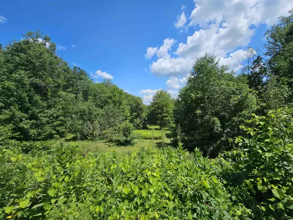 Grafton, VT 05146,2026 Stagecoach RD
