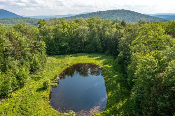 Andover, VT 05143,1809 Marsh Hill RD