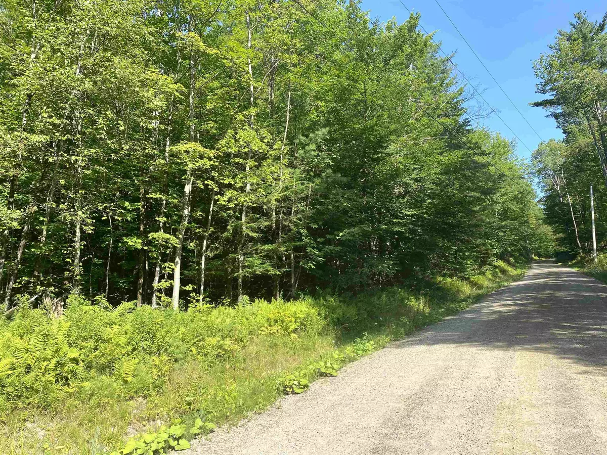 Ripton, VT 05766,00 North Branch RD