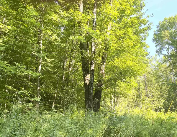 Ripton, VT 05766,00 North Branch RD