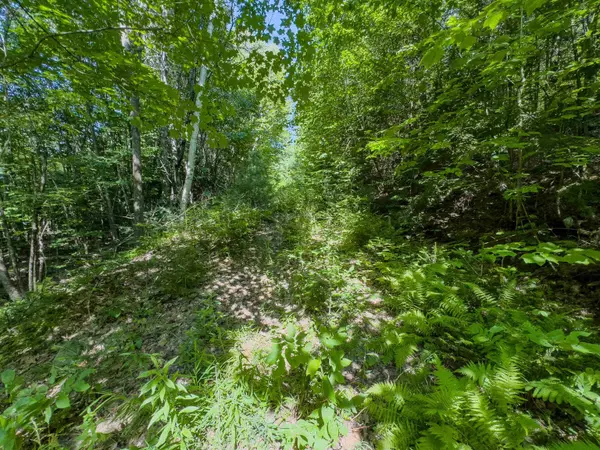 Haverhill, NH 03765,00 Brushwood RD #104