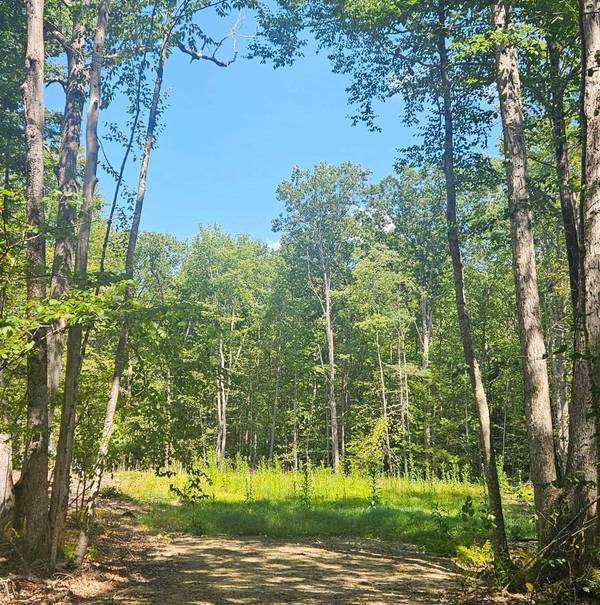 5 Blaisdell CT #5, Raymond, NH 03077