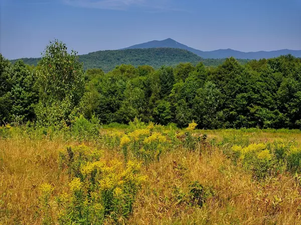 Eden, VT 05653,3298 East Hill RD