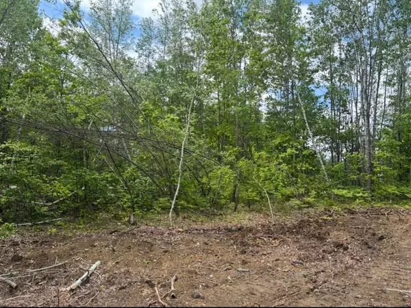 Ossipee, NH 03864,00B Route 16 HWY