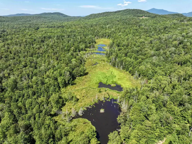 LOT 4 Lincoln RD, Ripton, VT 05766