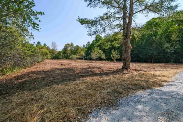 Mount Holly, VT 05758,525 Station RD #2