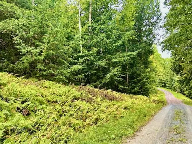 Longfellow RD #4, Haverhill, NH 03785