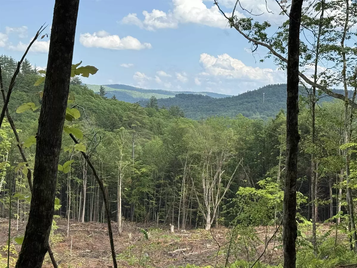 Alexandria, NH 03222,#3 King RD