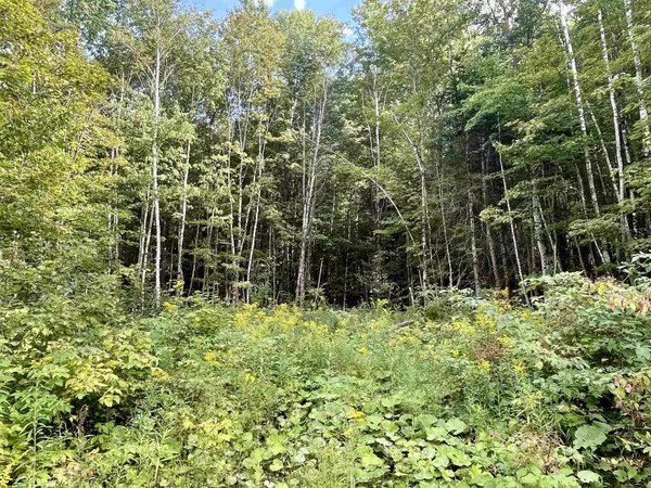 Lyndon, VT 05851,00 Dog Wood LN