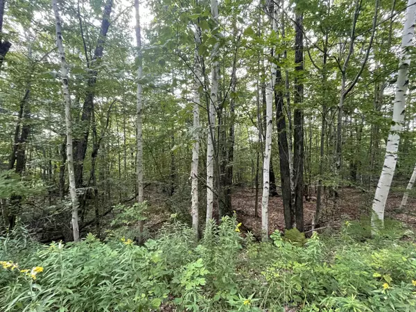 Jamaica, VT 05343,000 Wonder LN #LOT 15