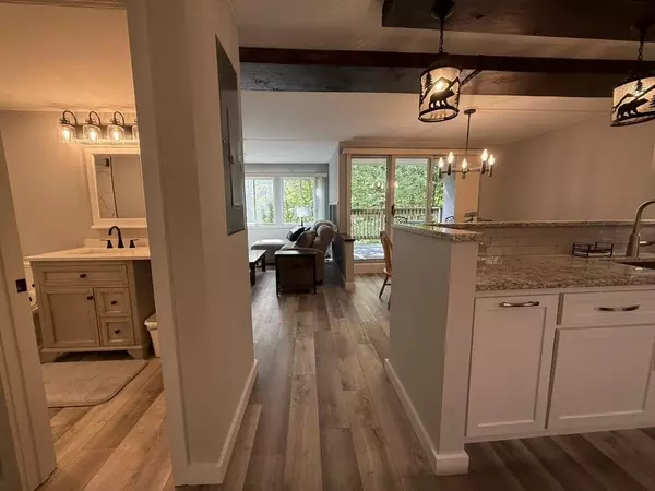 Warren, VT 05674,101 Bridges CIR #Bridges 101