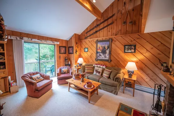 Dover, VT 05356,2D Polar Bear North