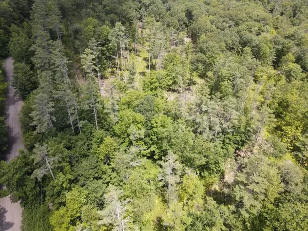 Barnet, VT 05821,0 Denio RD