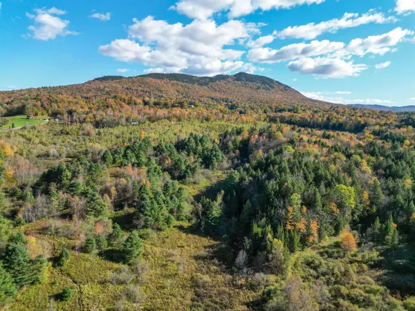 Morristown, VT 05661,Lot 0 Darling RD