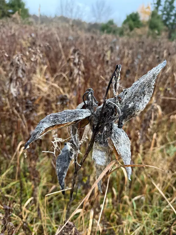 Cambridge, VT 05444,416 North Cambridge RD