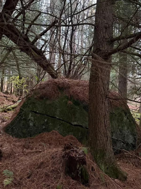 Cambridge, VT 05444,416 North Cambridge RD