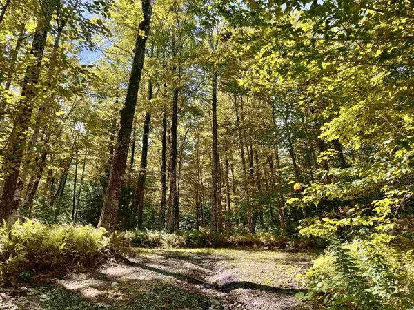 Jay, VT 05859,7601 Vermont Rt 105