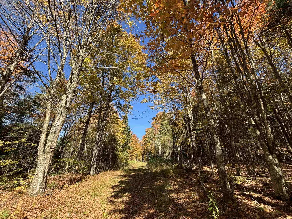 Newark, VT 05871,00 Baird RD