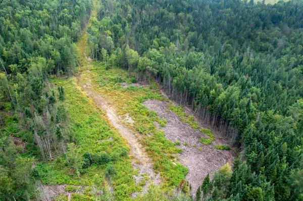 Milan, NH 03588,00 Milan Hill RD