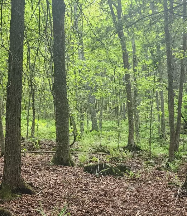 Weathersfield, VT 05151,00 Tarbell Hill RD