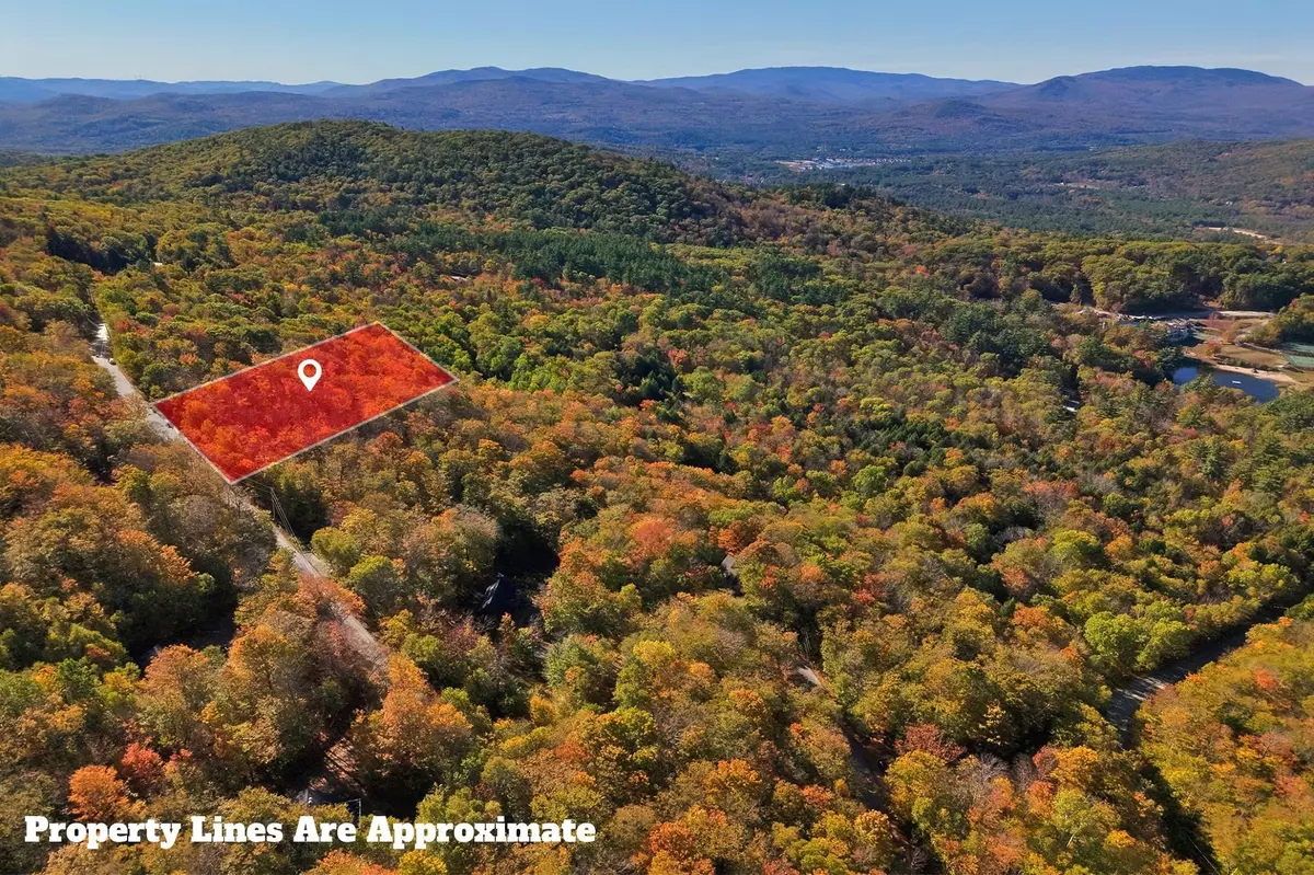 Campton, NH 03223,00 Summit DR