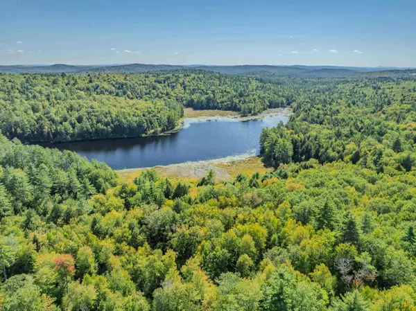 Warner, NH 03278,0000 Pumpkin Hill RD