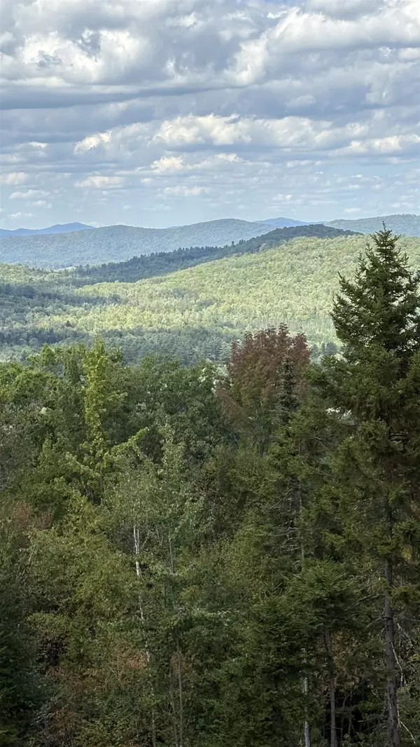 Franconia, NH 03580,11 Summit DR #11