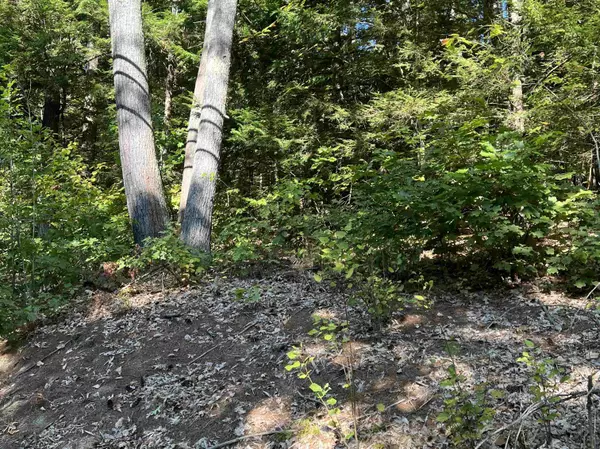 Hopkinton, NH 03229,Pine ST