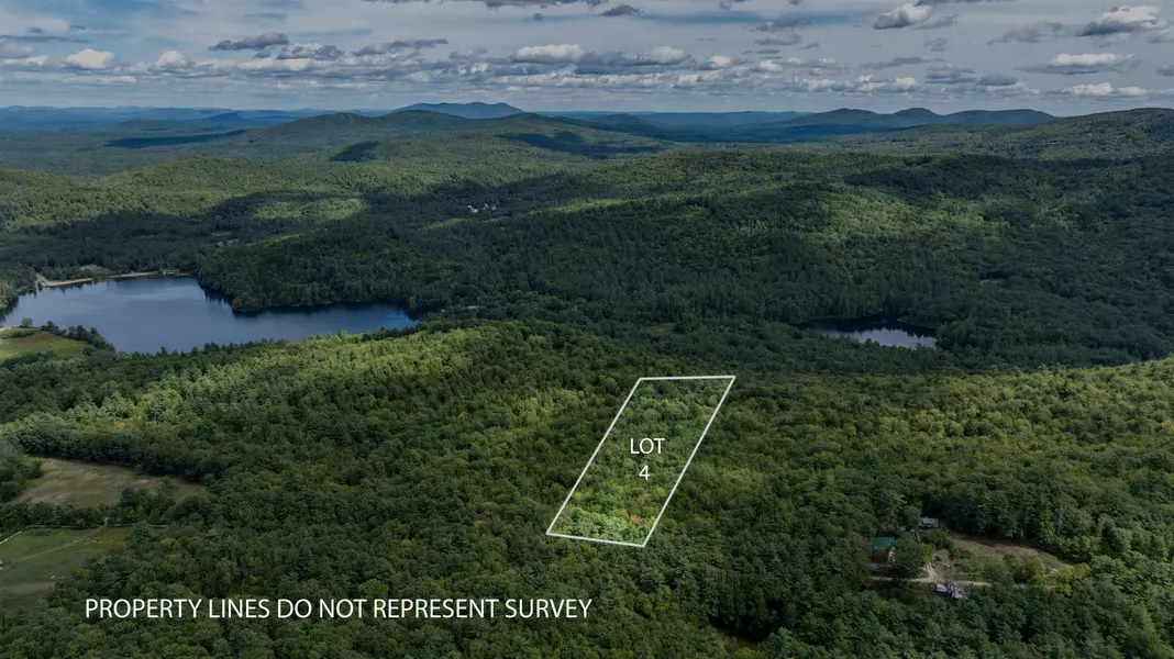 TBD Youngs RD #Lot 4, Eaton, NH 03832