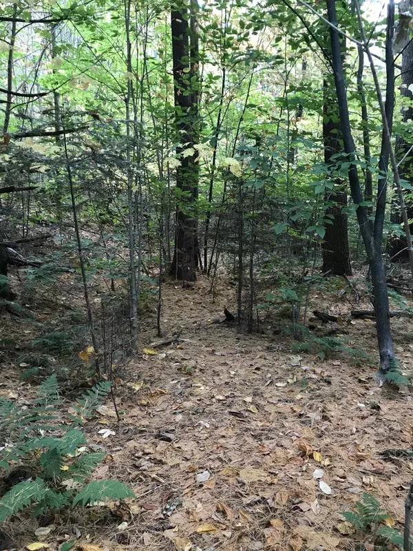 Waitsfield, VT 05673,3003 East Warren RD